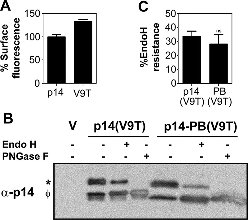 FIGURE 3: