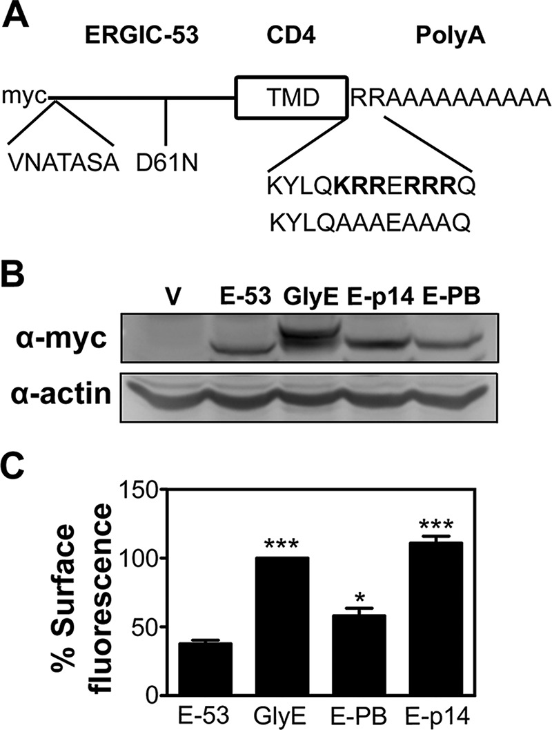 FIGURE 9: