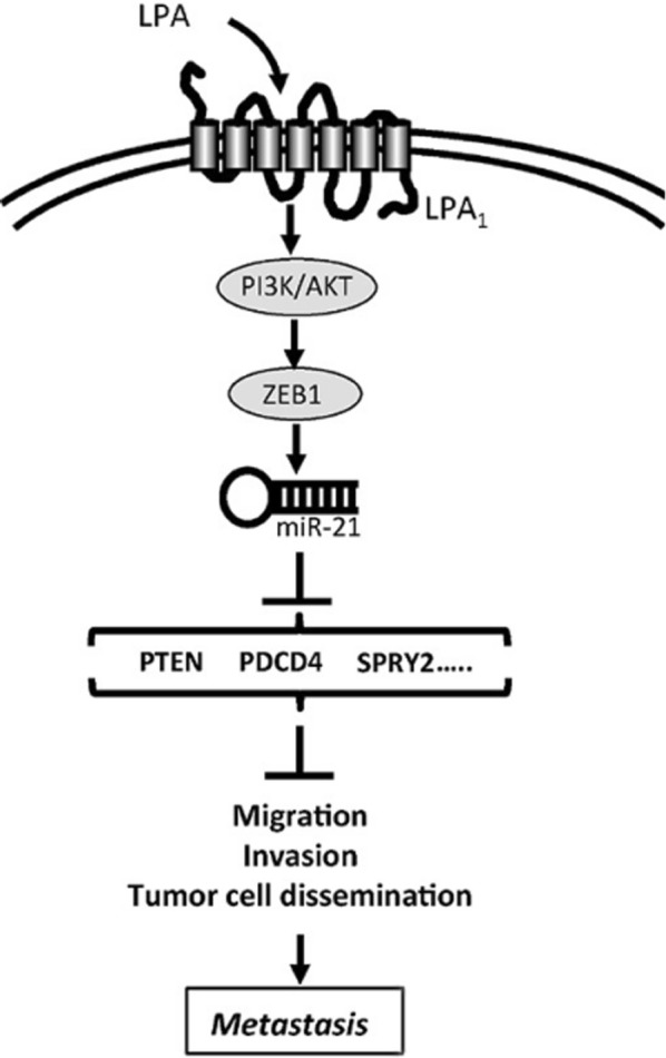 Fig. 6