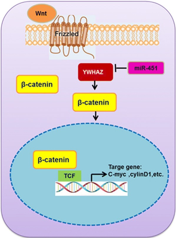 Fig. 2