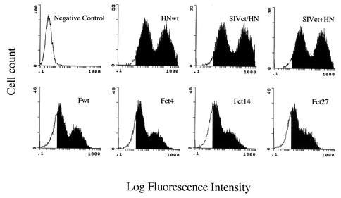 FIG. 2.