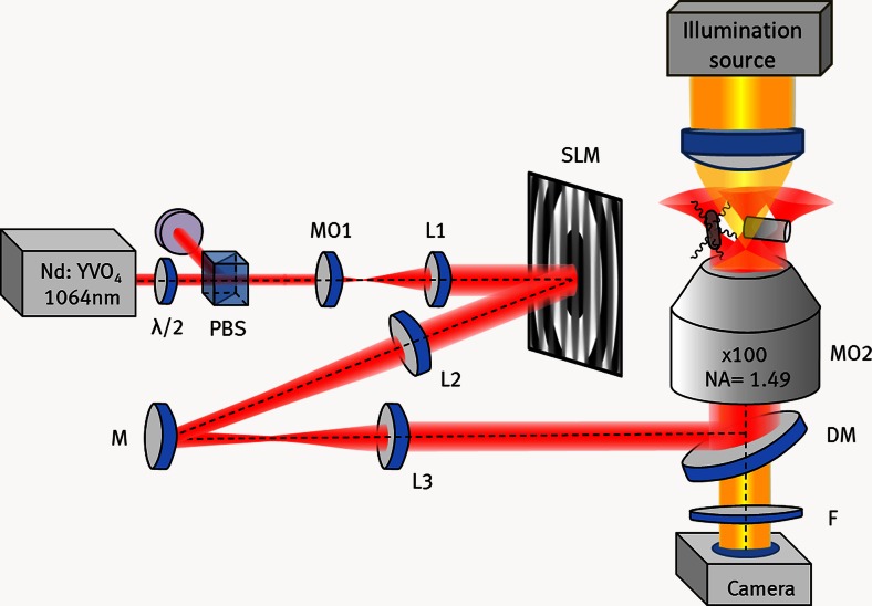 Fig. 1