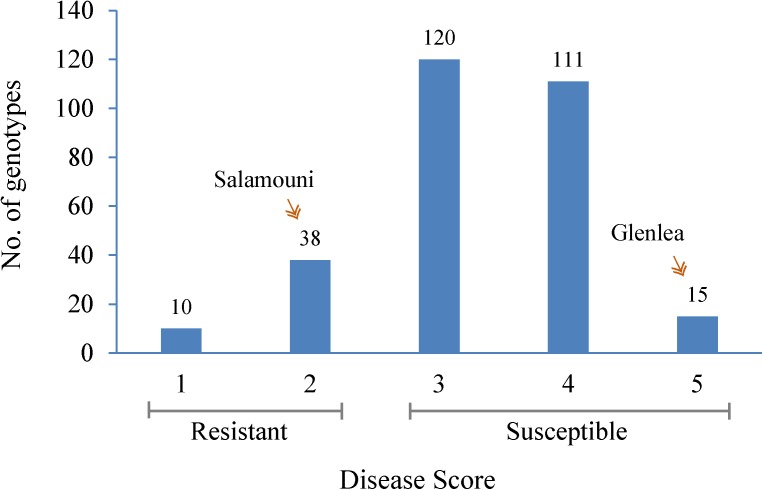 FIGURE 1