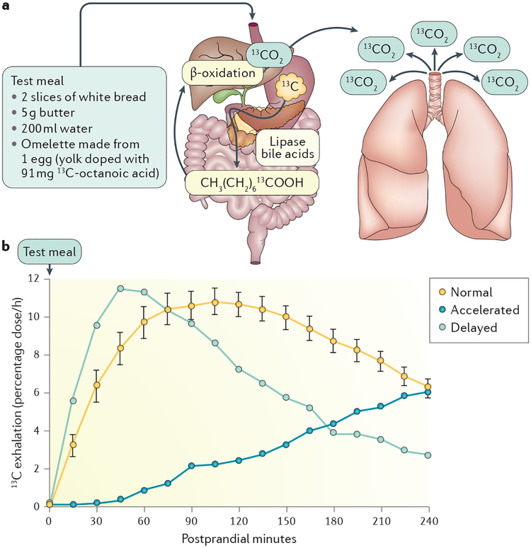 Figure 2 |