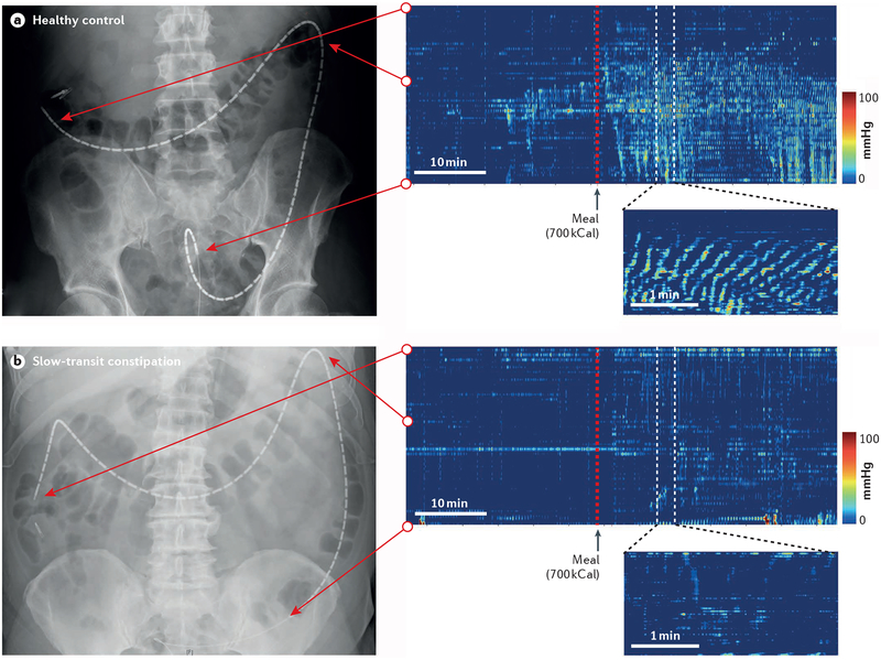 Figure 7 |