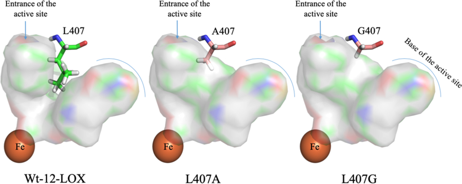 Figure 2.