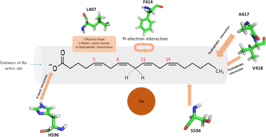 Figure 4.