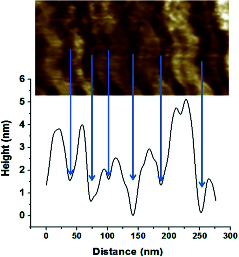 Fig. 6