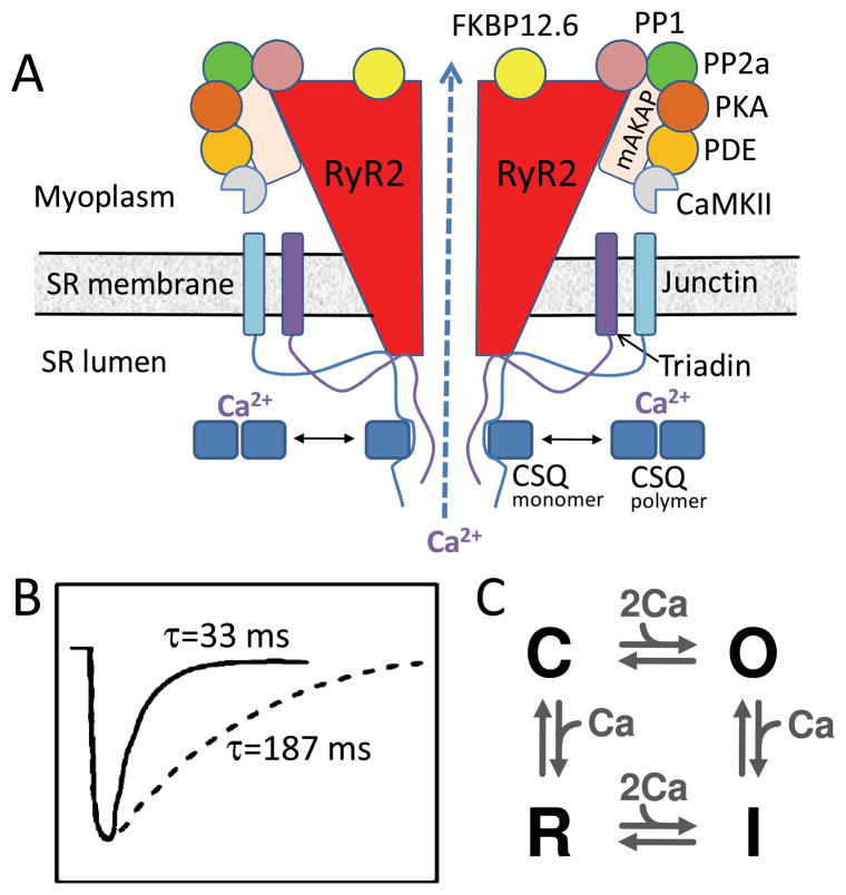 Fig. 4