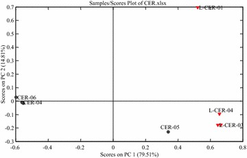 Fig. 3