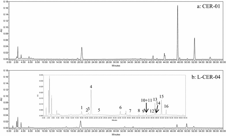 Fig. 1