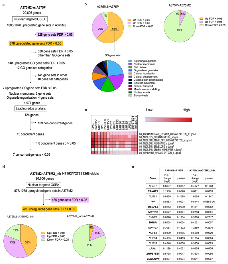 Extended Data Figure 5