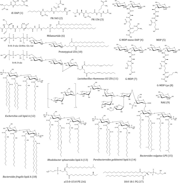 Figure 2.