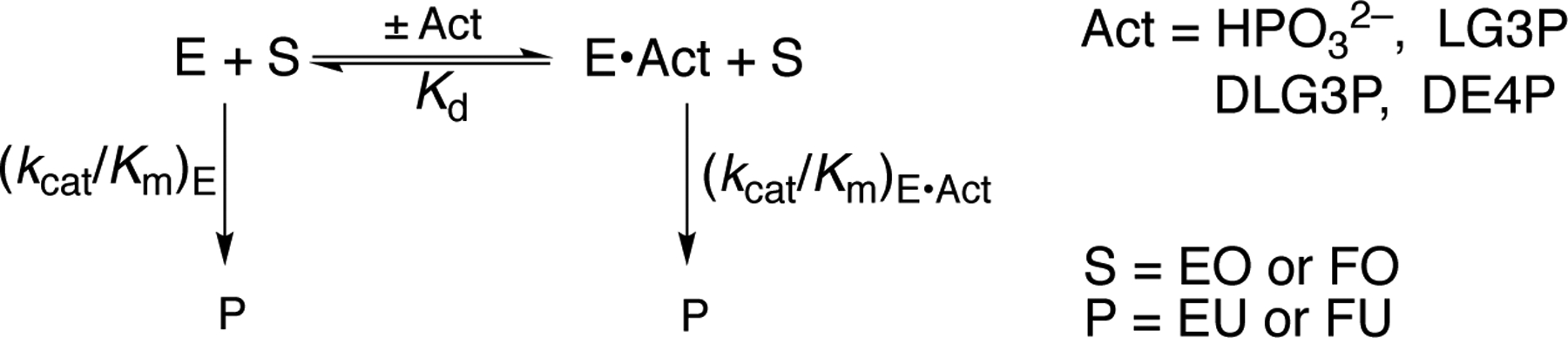 Scheme 2.