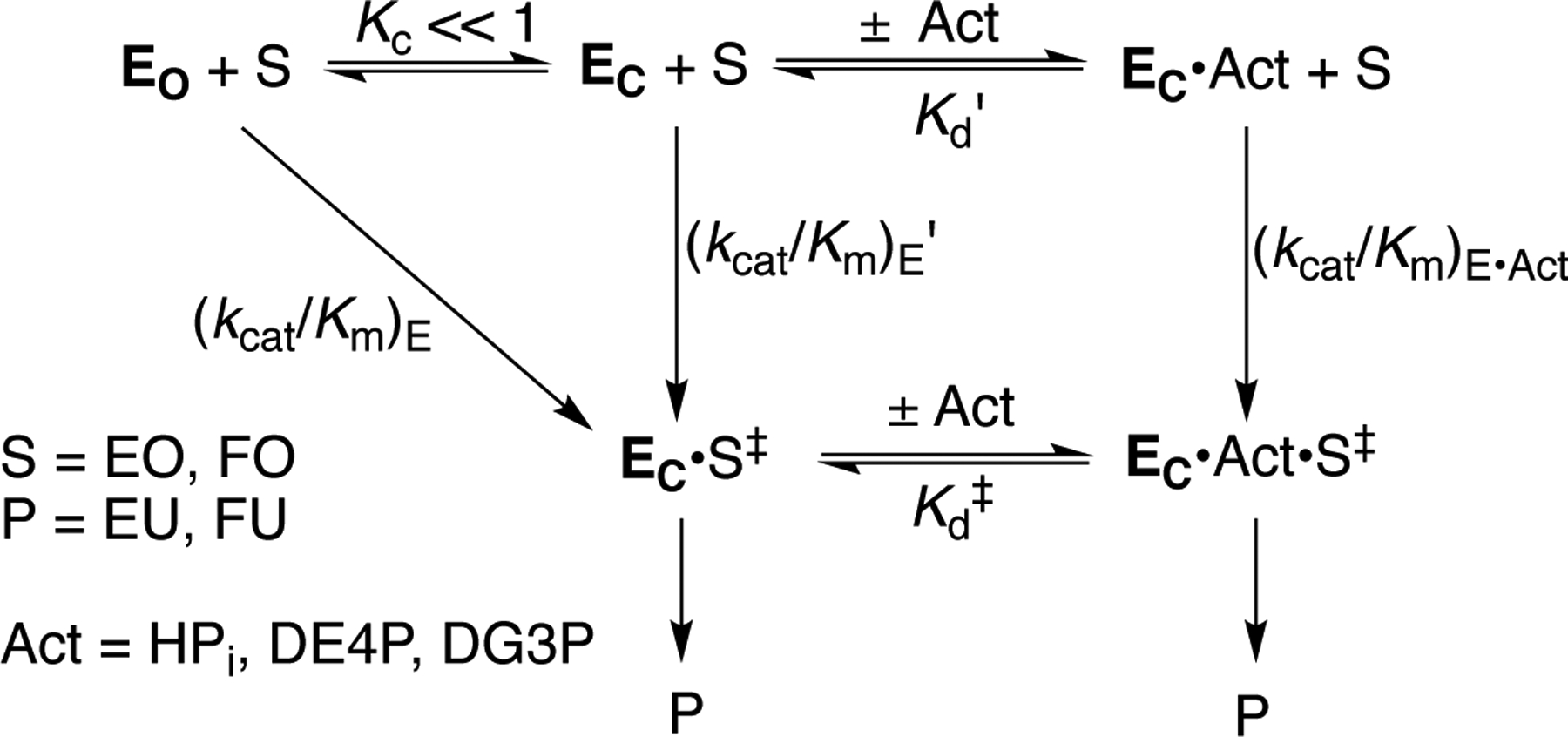 Scheme 5.