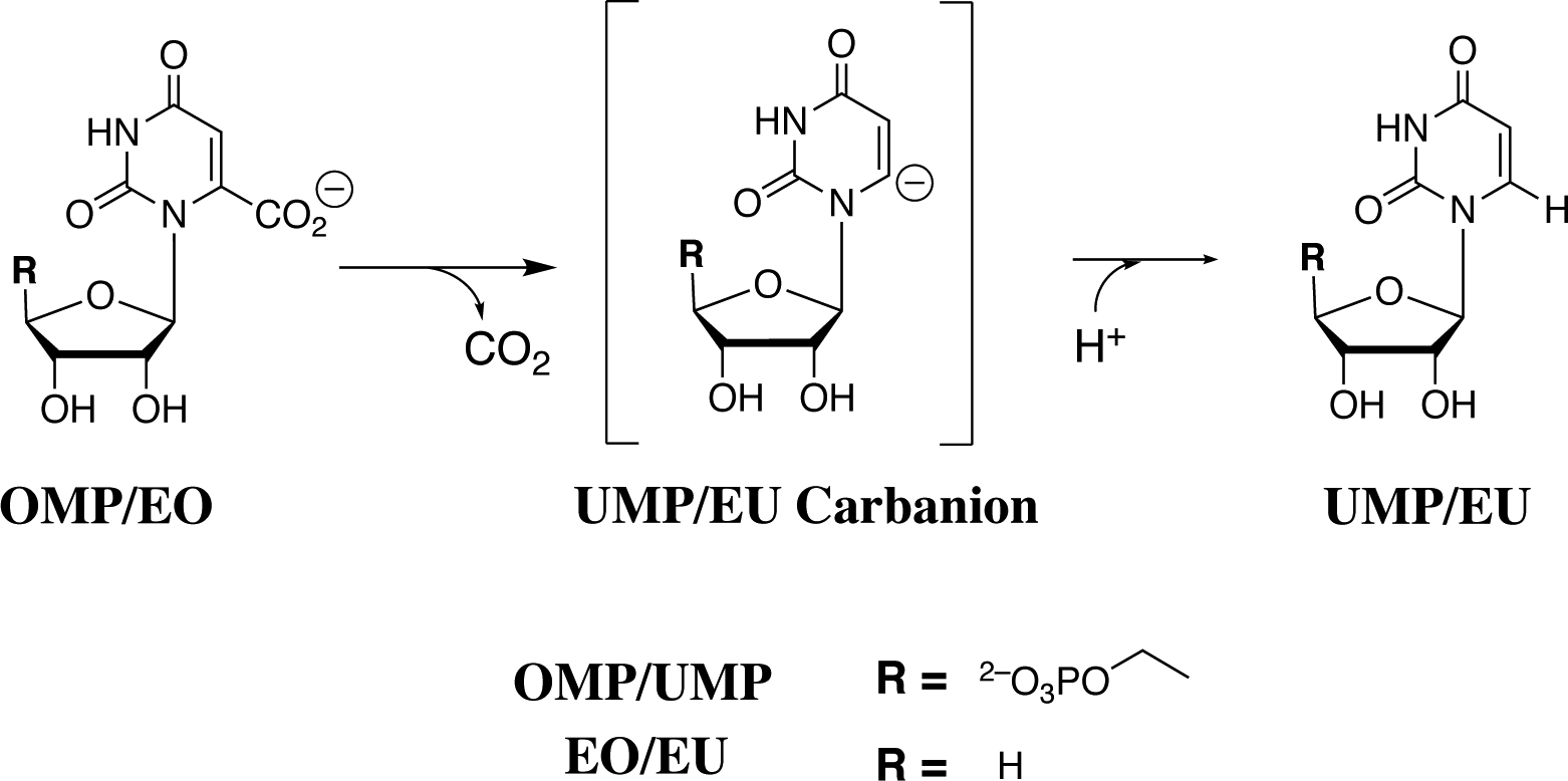 Scheme 1.