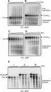 FIGURE 4.