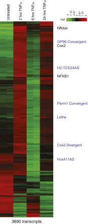 Figure 1—Figure supplement 1.