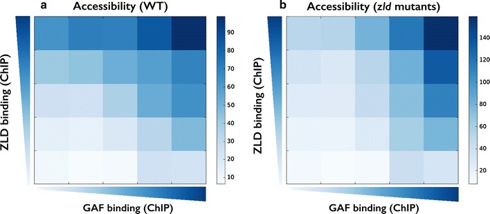 Fig. 7