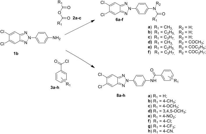 Scheme 2