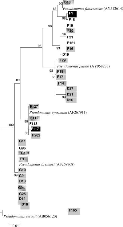 FIG. 5.