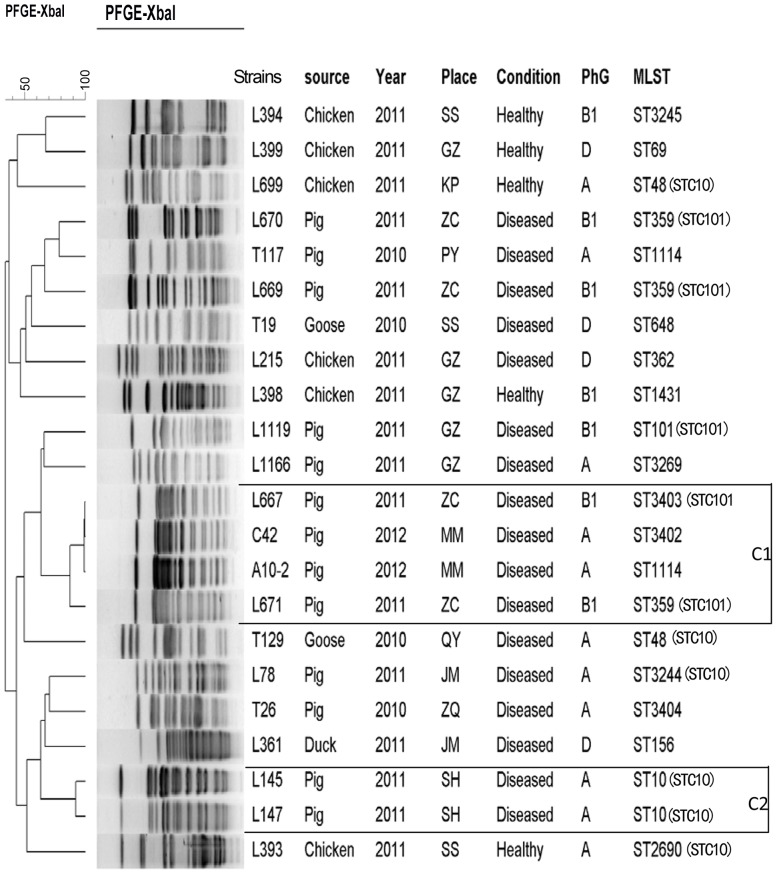 Figure 1