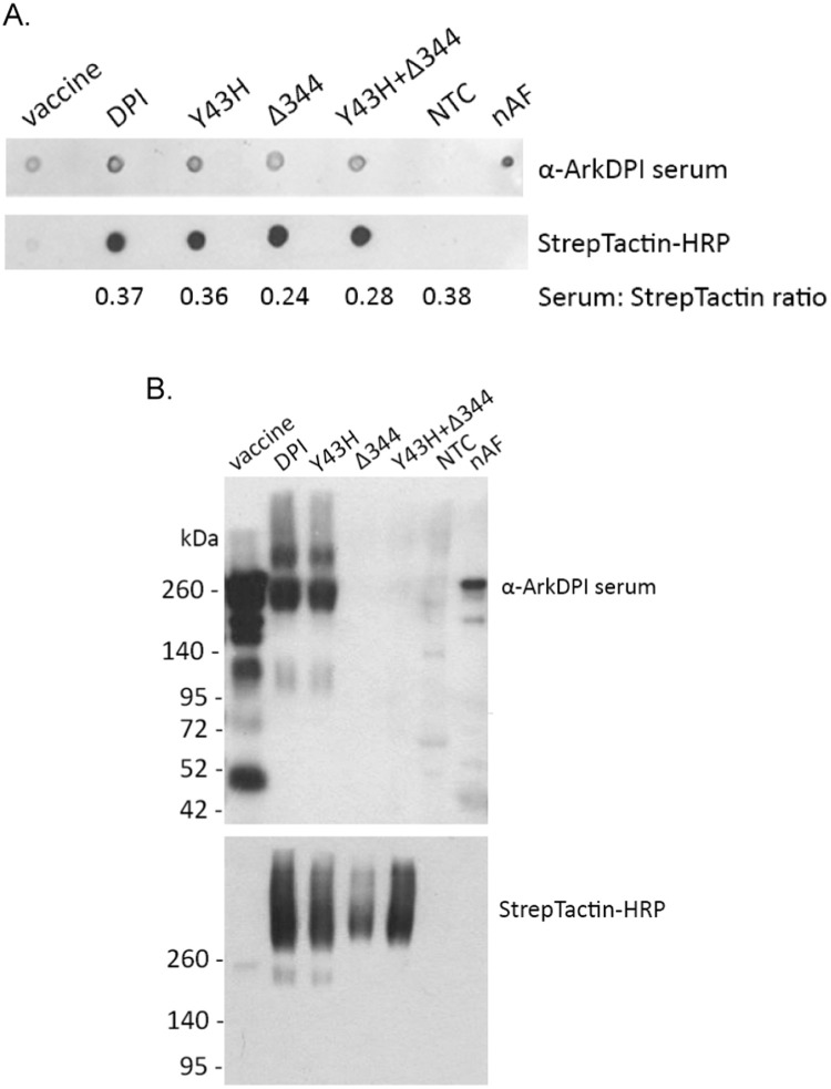 Fig. 5.