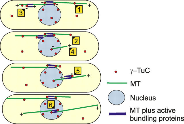 Figure 9.