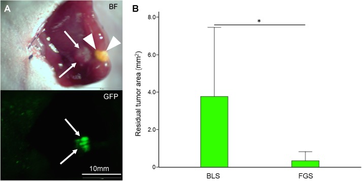 Fig 7