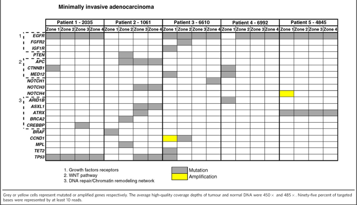 graphic file with name ncomms9258-t2.jpg