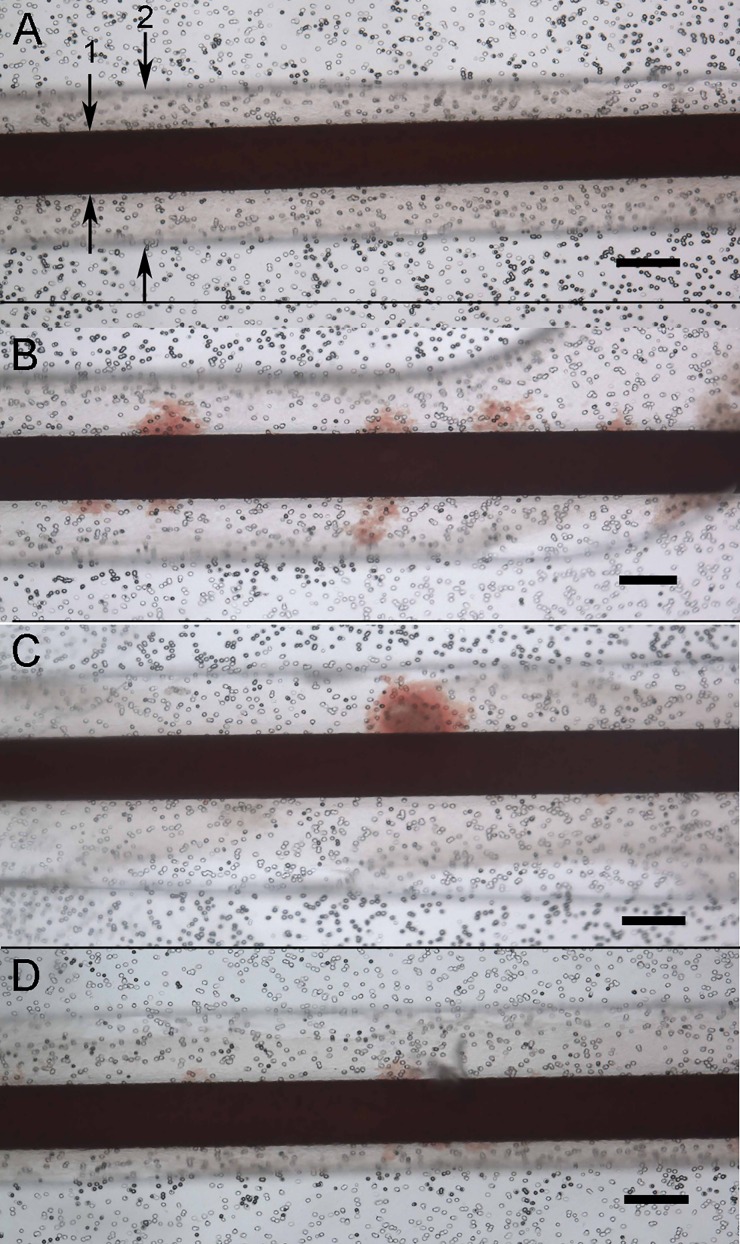 FIG. 6.