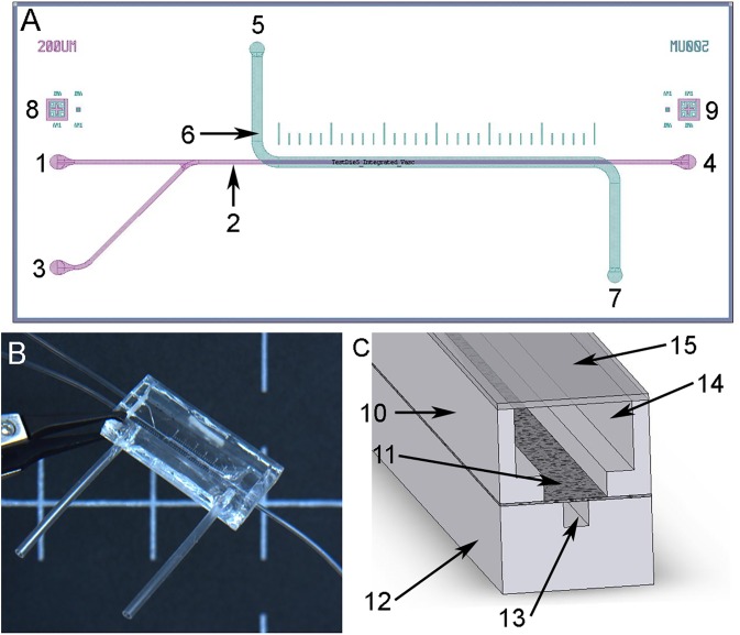 FIG. 1.