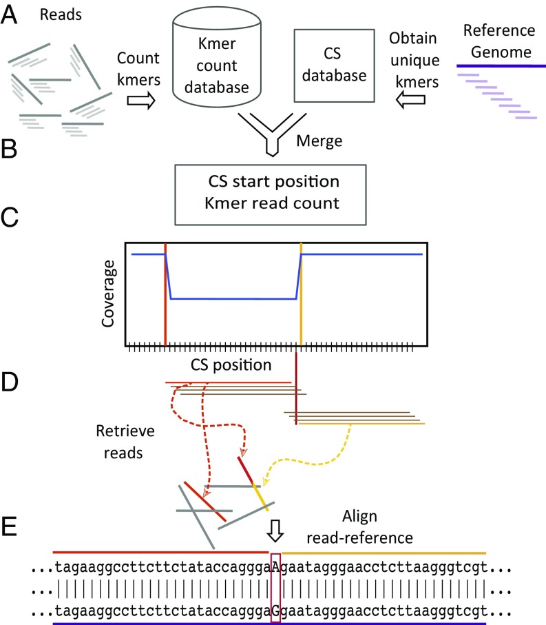 Fig. 3.