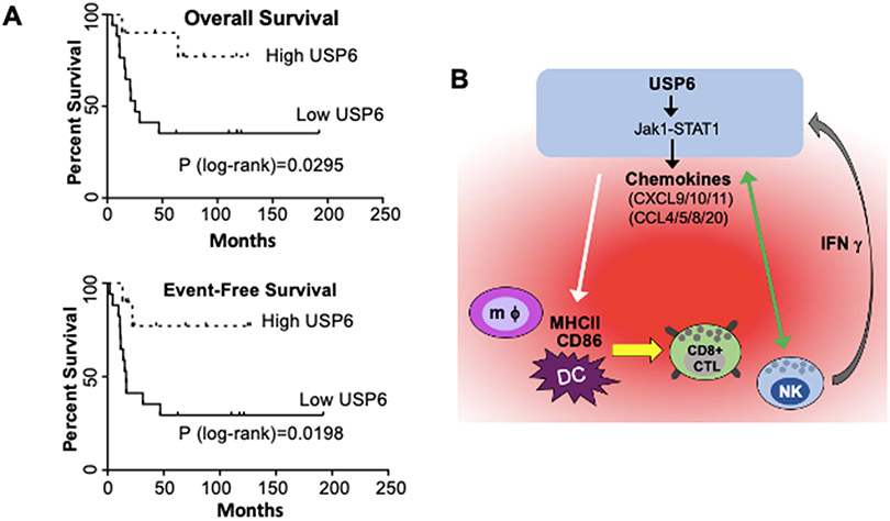 Figure 7: