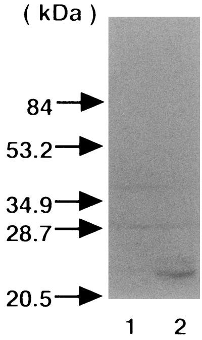 FIG. 6