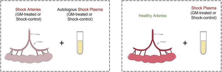 graphic file with name 41598_2023_36021_Figb_HTML.jpg