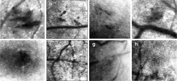 Fig. 8