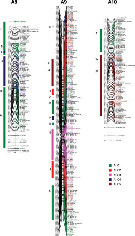 Figure 1.