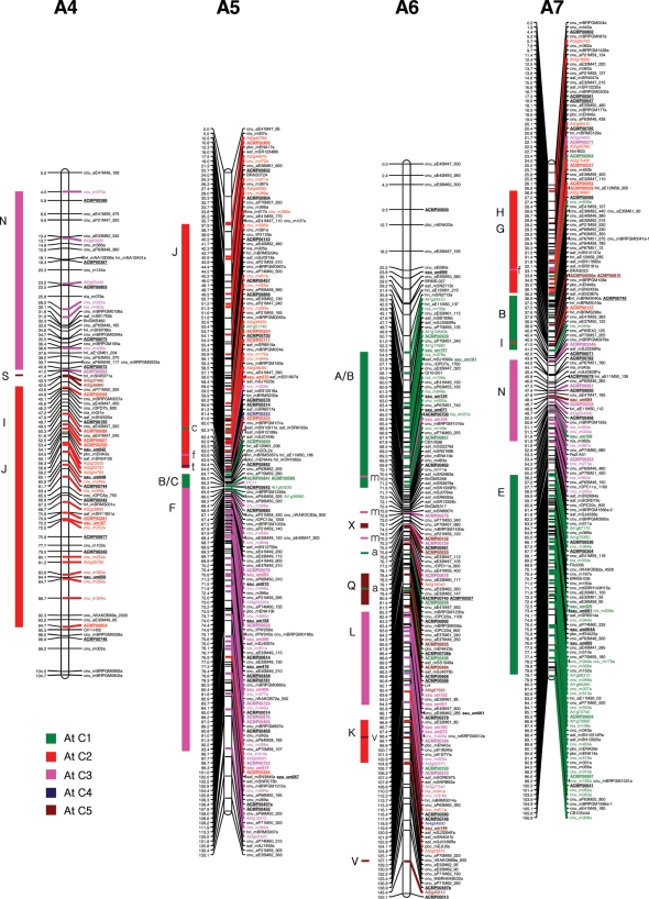 Figure 1.