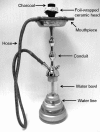 Figure 1