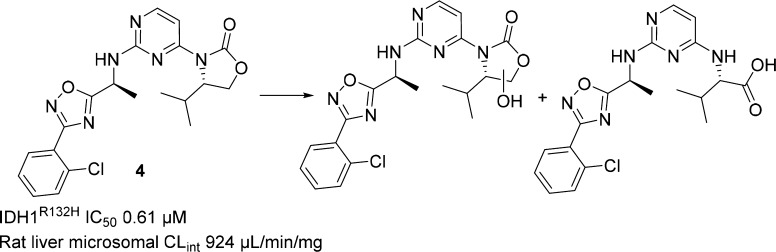 Scheme 2