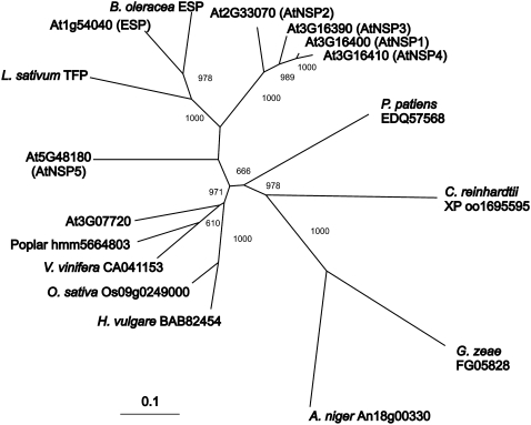 Figure 9.