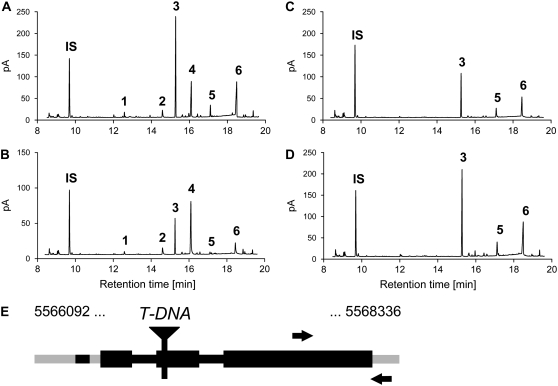 Figure 5.