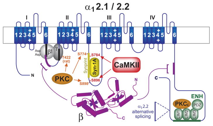 FIG. 15