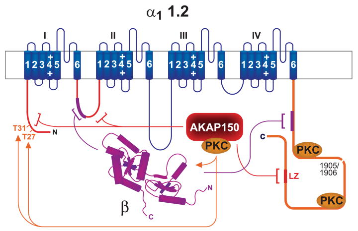 FIG. 14