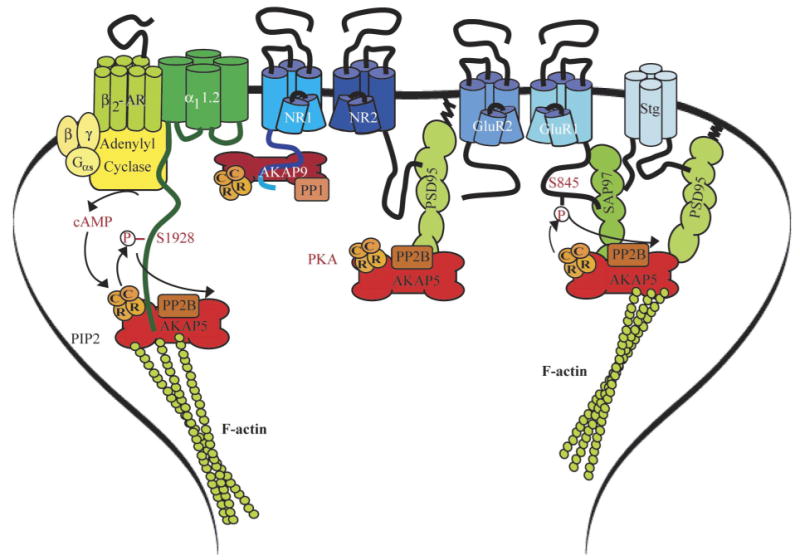 FIG. 10