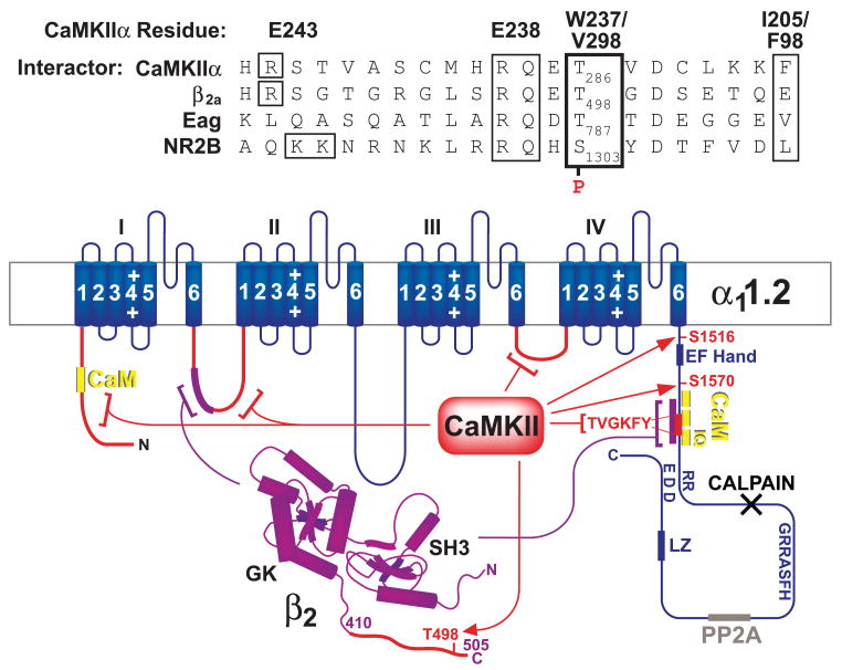 FIG. 16