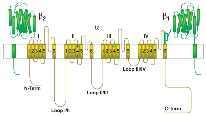 FIG. 2