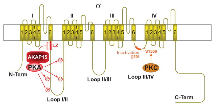 FIG. 11