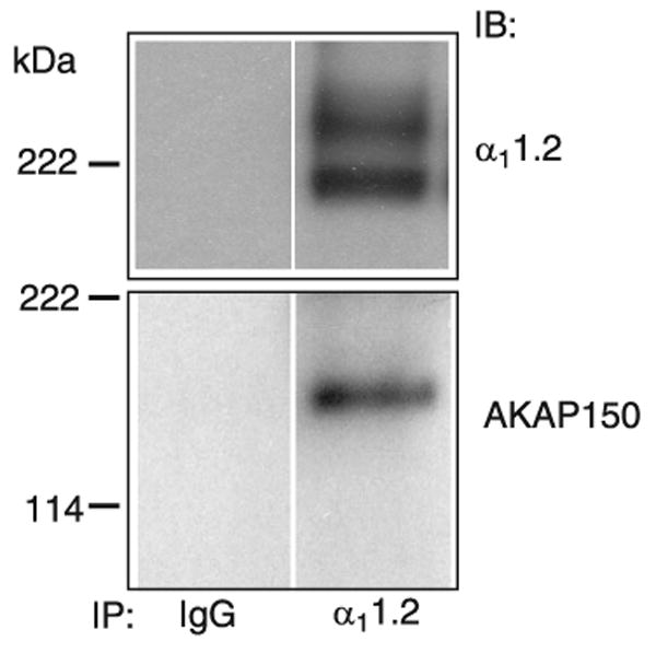 FIG. 7